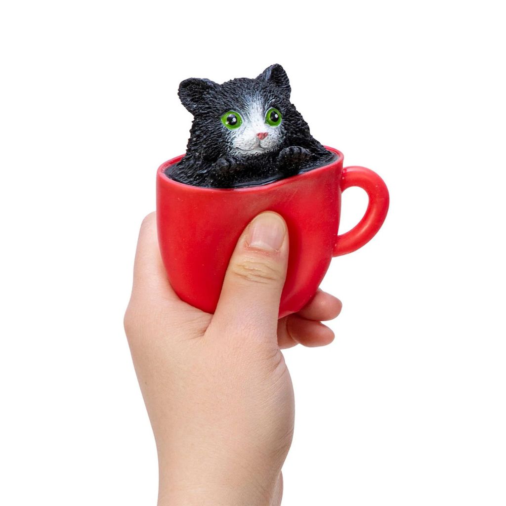 Black Kitty In Blue Cup