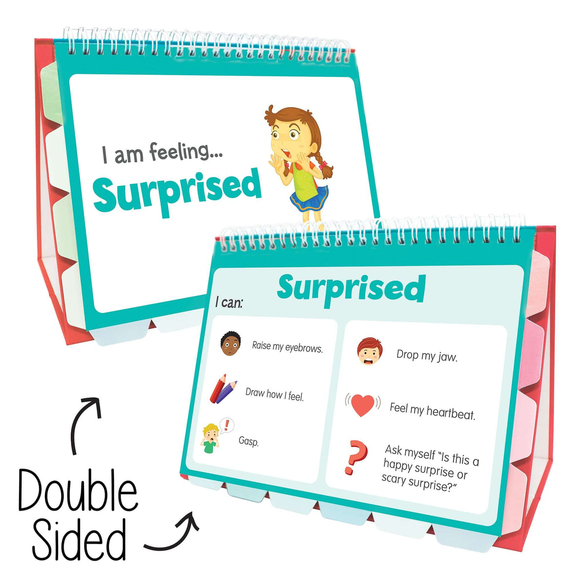 Feelings Flips Featuring 2 Sides