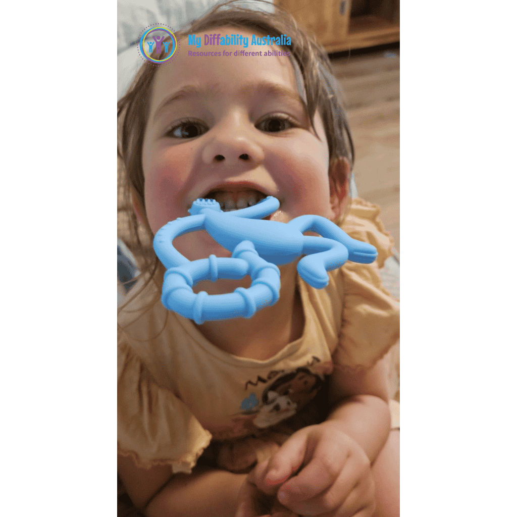 Monkey Teether Light Blue
