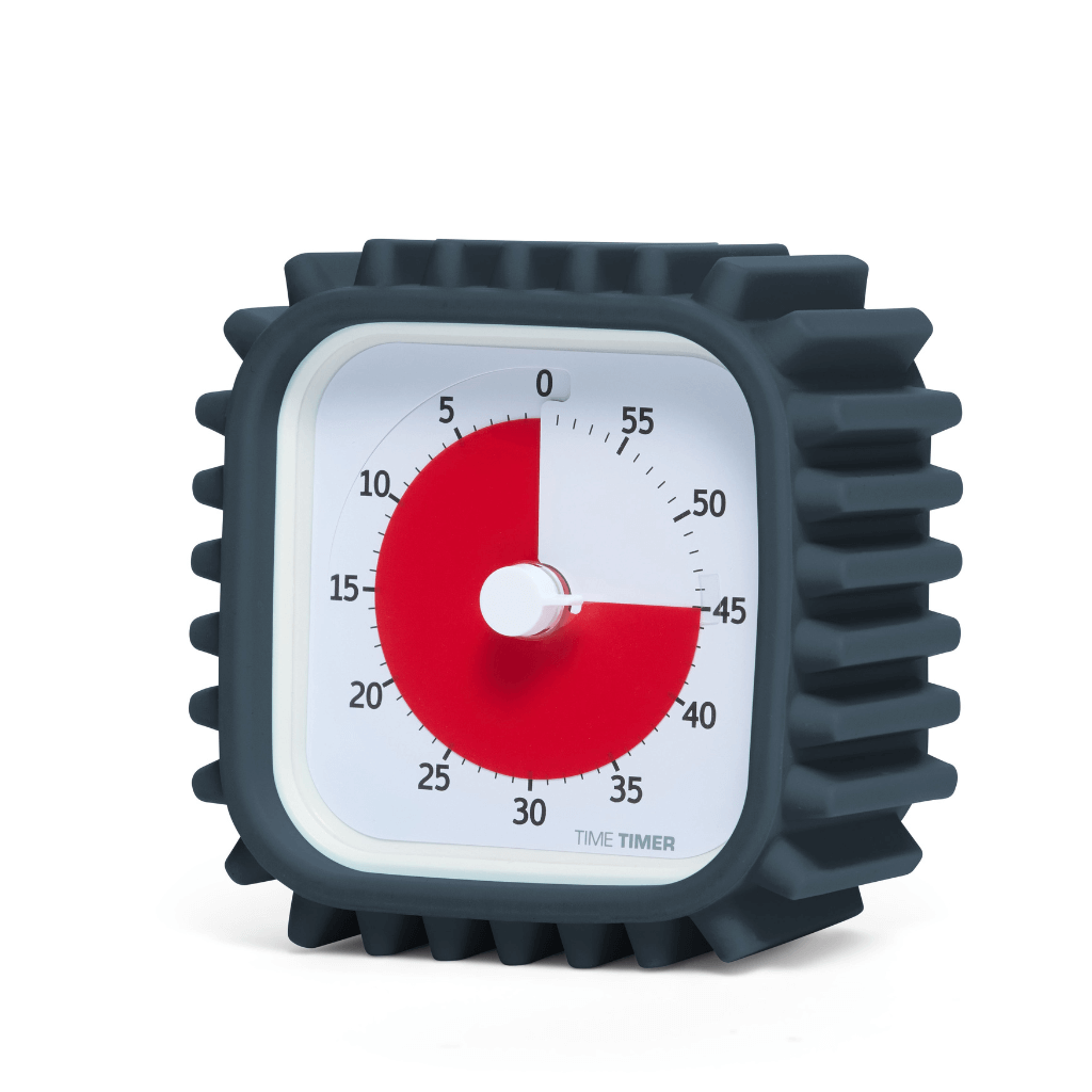 Protected Case Black used in a time timer mod