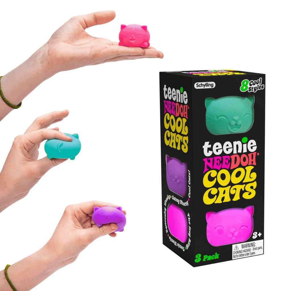 Schylling Cool Cats Teenie Nee Doh
