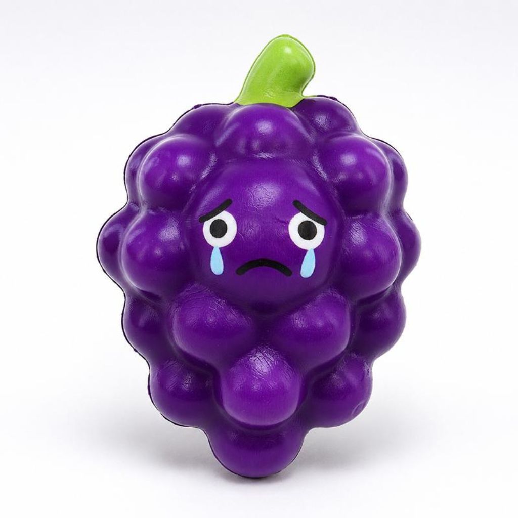 Fruity Feelings Squeezy Squishies