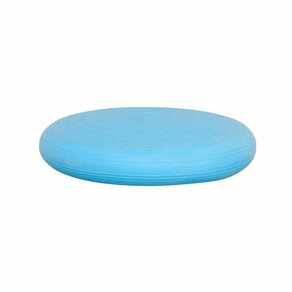 Stability Disc Full View