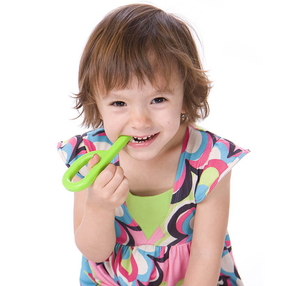 Ark Grabber Chew Toys