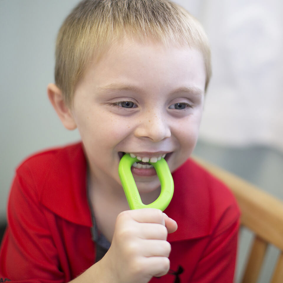 Ark grabber Sensory Chew