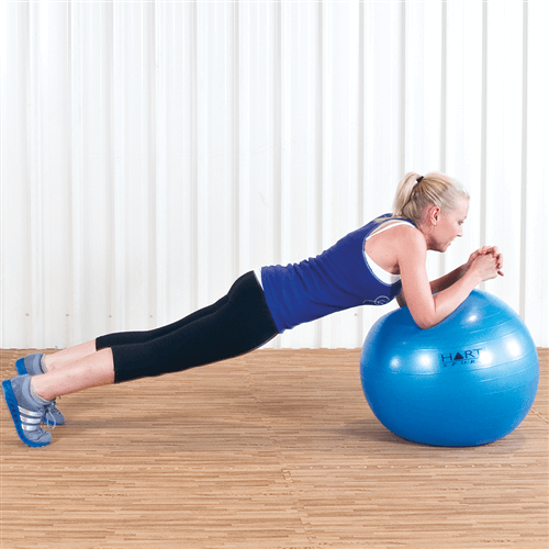 Swiss Ball Proprioceptive Input