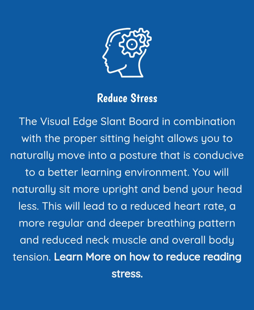 visual edge slantboard information
